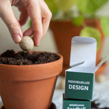 Samenkugel im Würfel