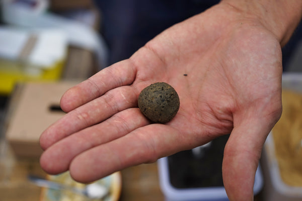 Seedbombs selber machen: Der Leitfaden für DIY-Enthusiasten