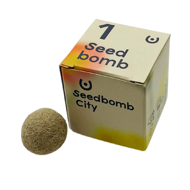 Seed bomb in the cube