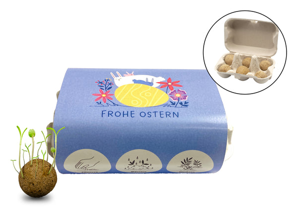 Easter edition / 6 seed balls in an egg carton 