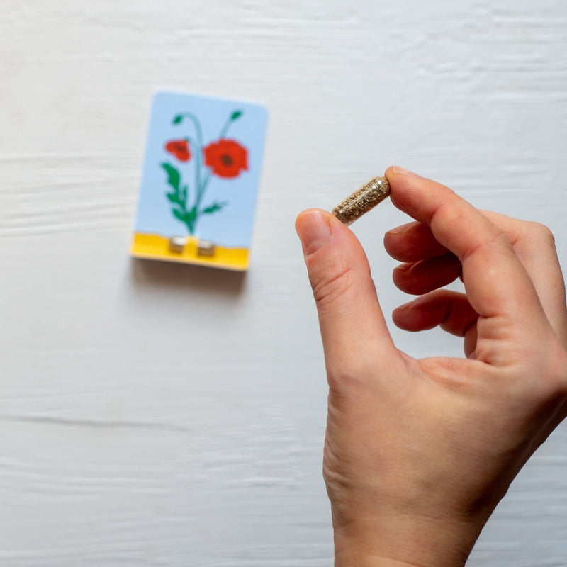 A seed pill in the card 